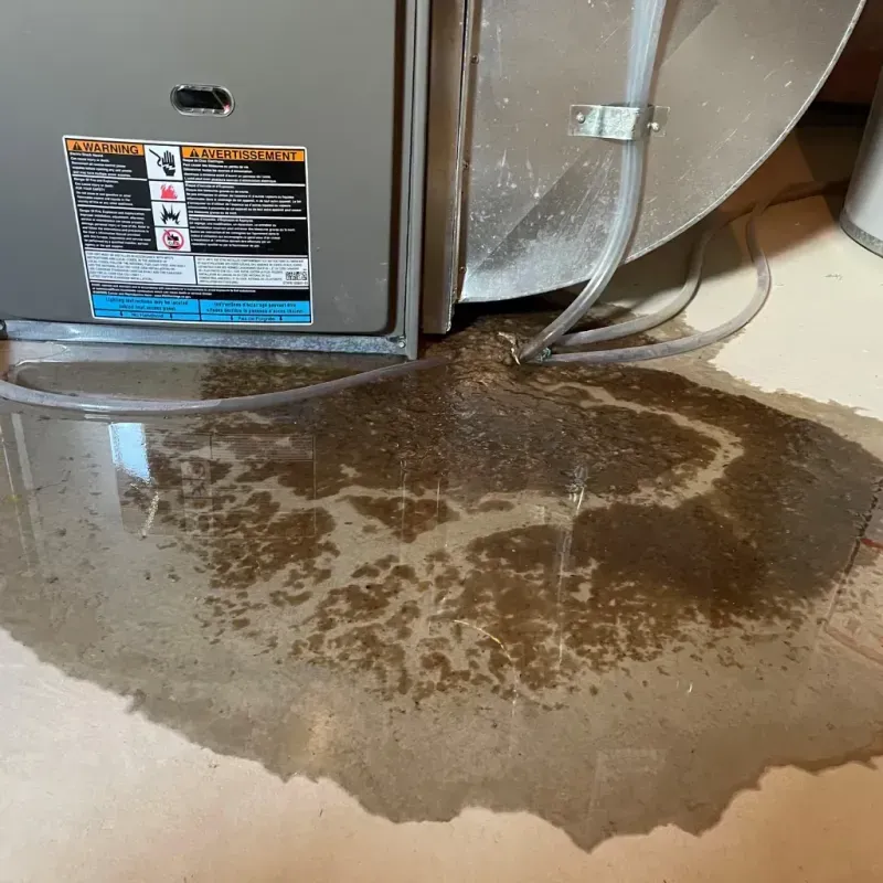 Appliance Leak Cleanup in Lovelock, NV